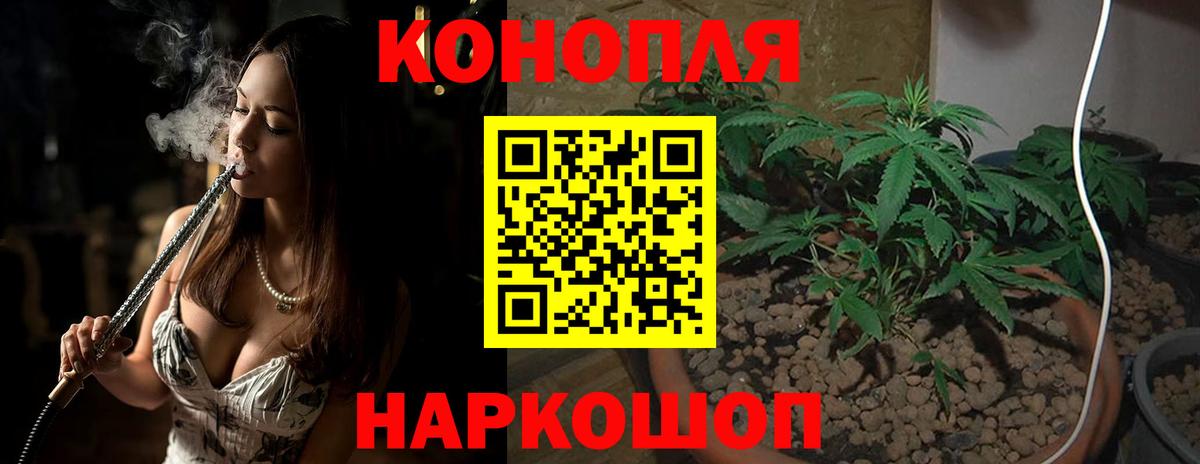 Шишки марихуана Amnesia Медногорск